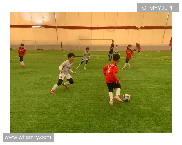 《从足球星起点2018看青少年足球培养与未来发展趋势》 《从足球星起点2018看青少年足球培养与未来发展趋势》